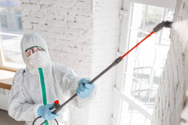 Best Mold Odor Removal Services  in Camdenton, MO